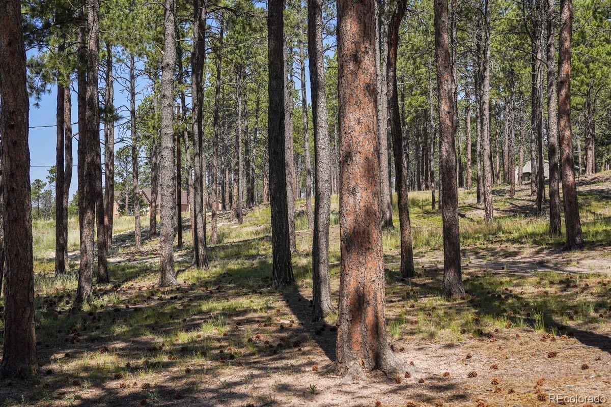 MLS Image #35 for 13290  pinery drive,colorado springs, Colorado
