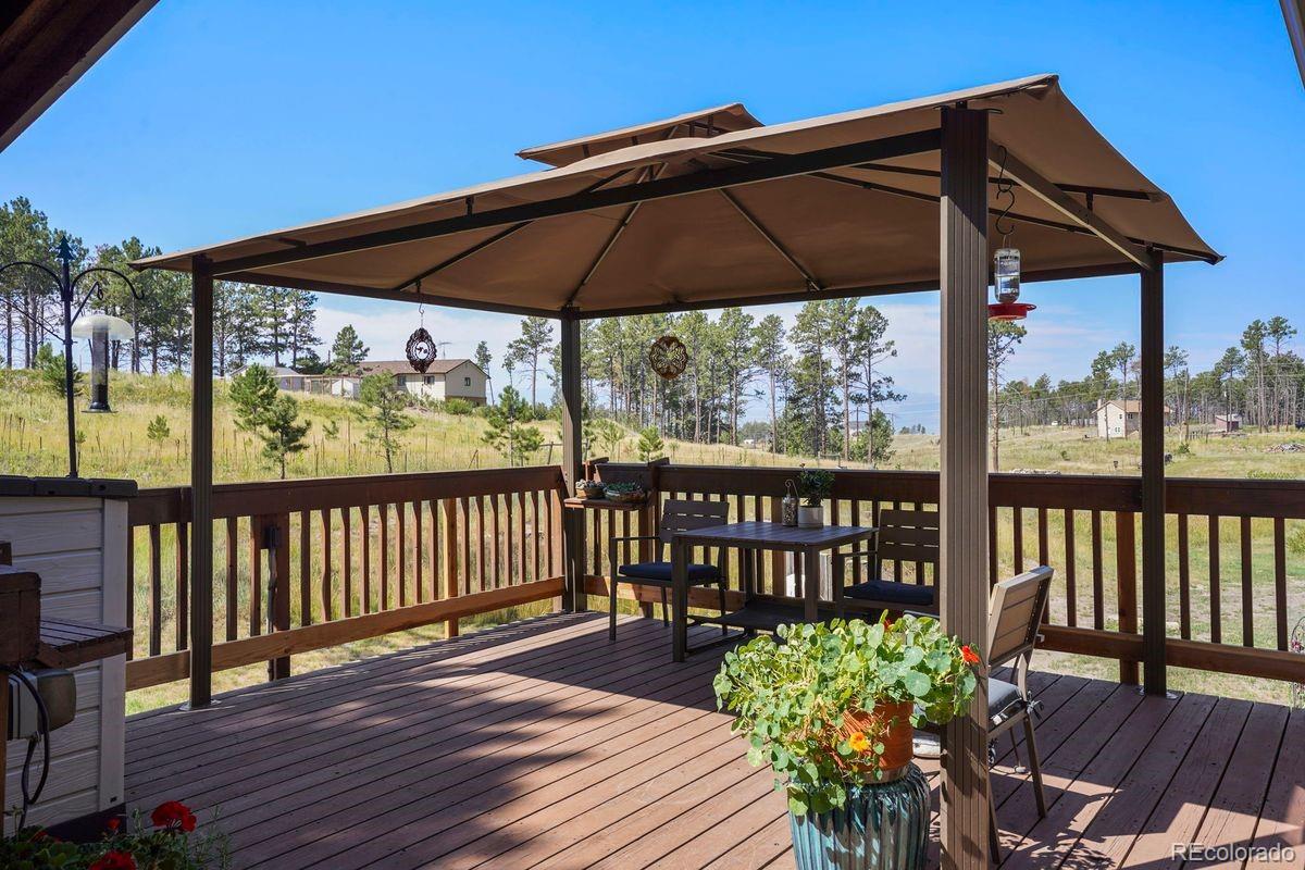 MLS Image #40 for 13290  pinery drive,colorado springs, Colorado