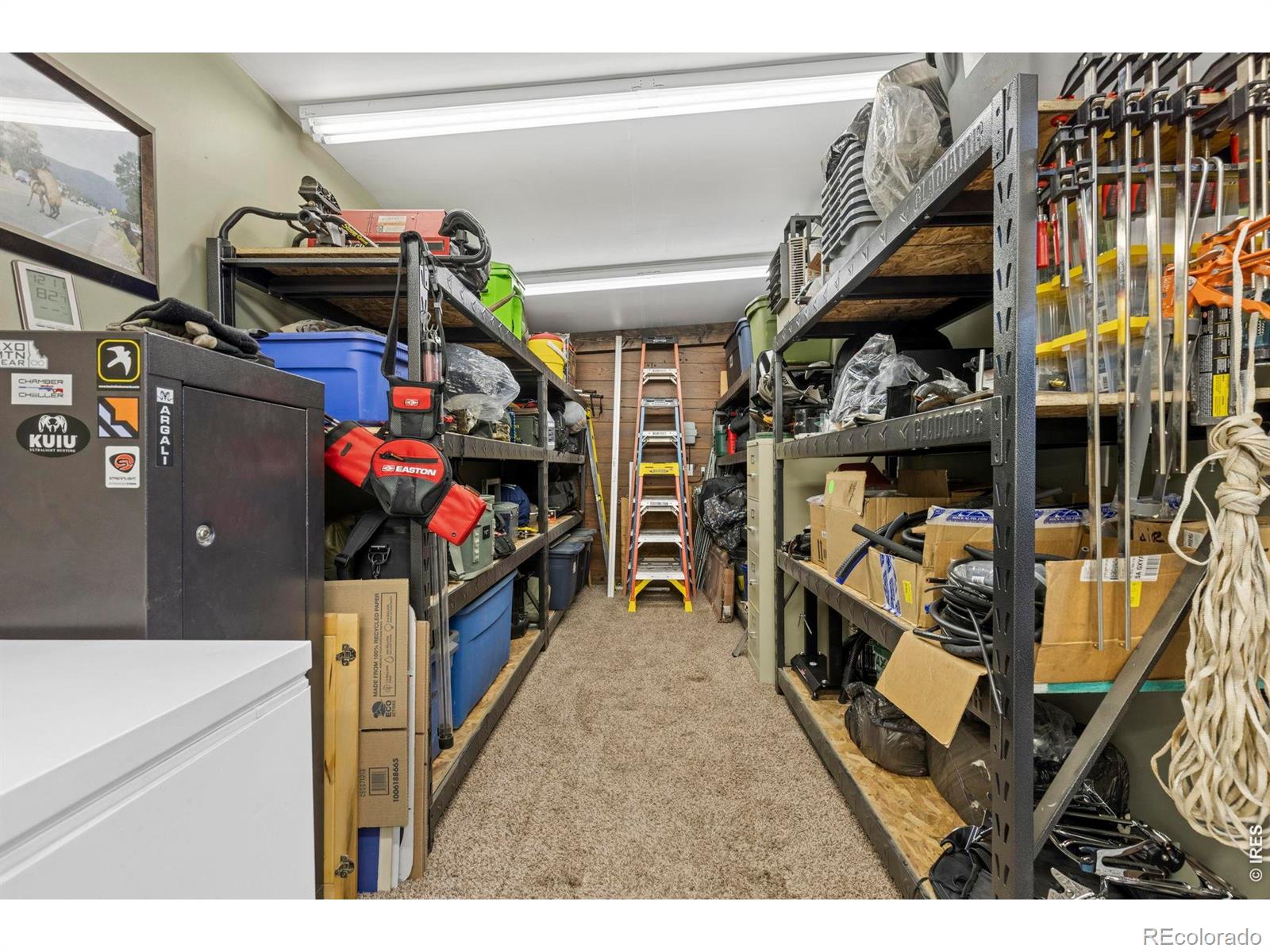 MLS Image #25 for 4116  rockcress place,loveland, Colorado