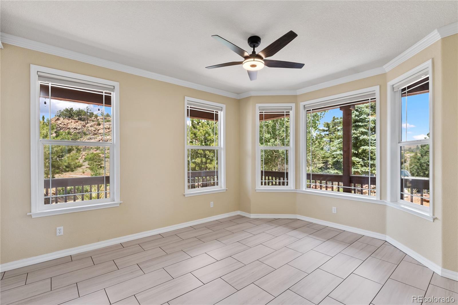 MLS Image #20 for 43  spring valley drive,florissant, Colorado