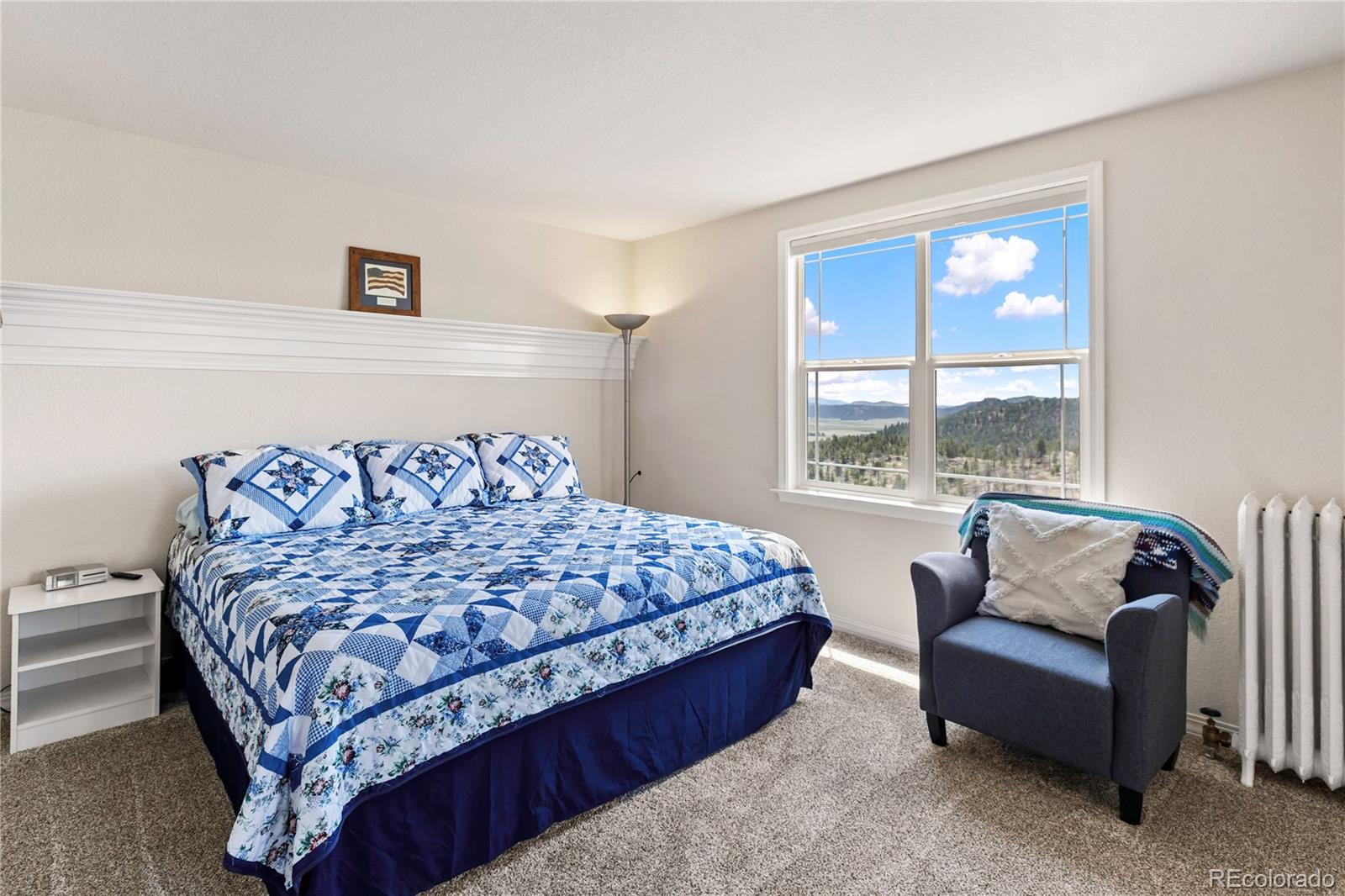 MLS Image #32 for 43  spring valley drive,florissant, Colorado
