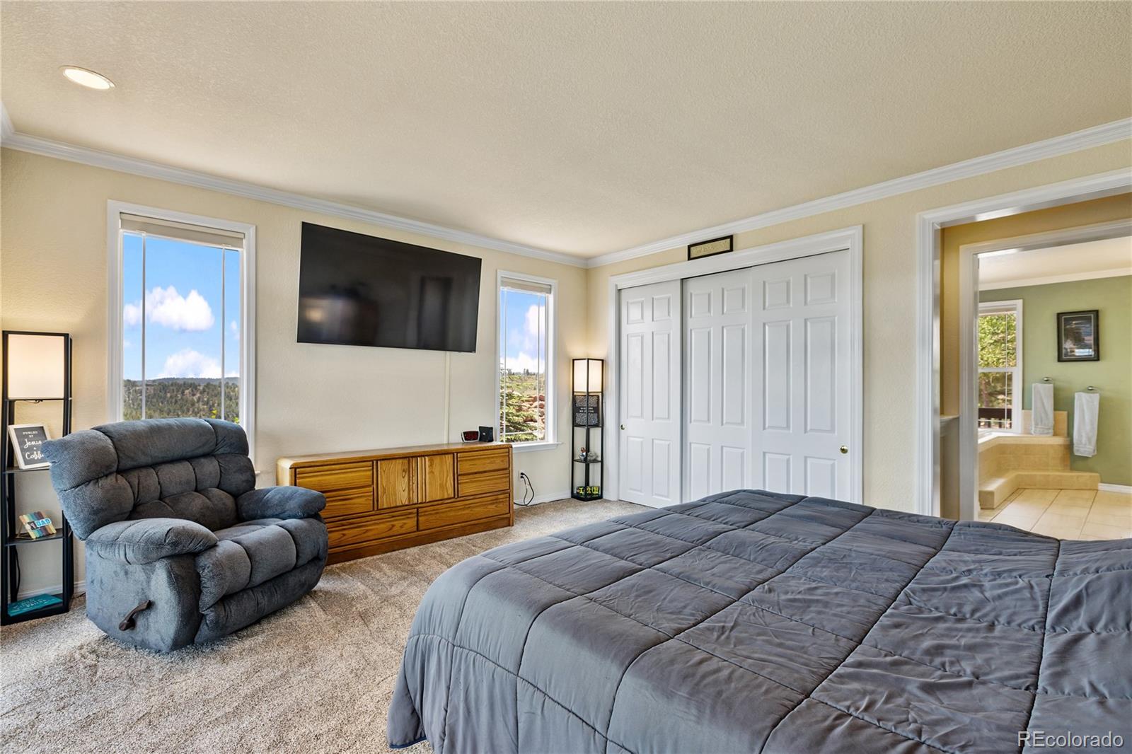 MLS Image #41 for 43  spring valley drive,florissant, Colorado