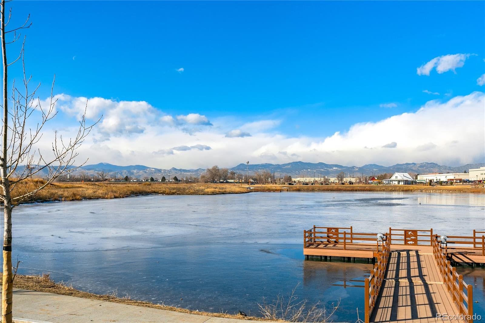 MLS Image #8 for 4097 w 53rd avenue,denver, Colorado