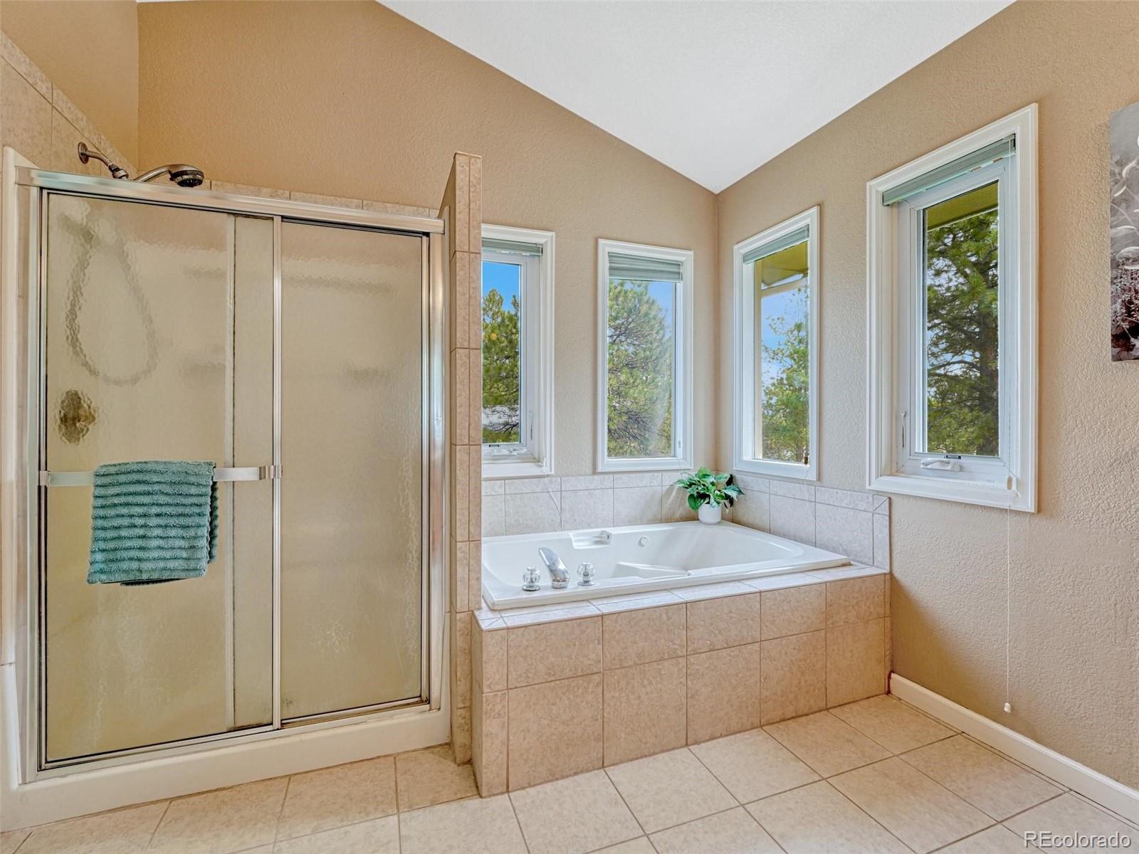MLS Image #20 for 37140  pheasant run,elizabeth, Colorado