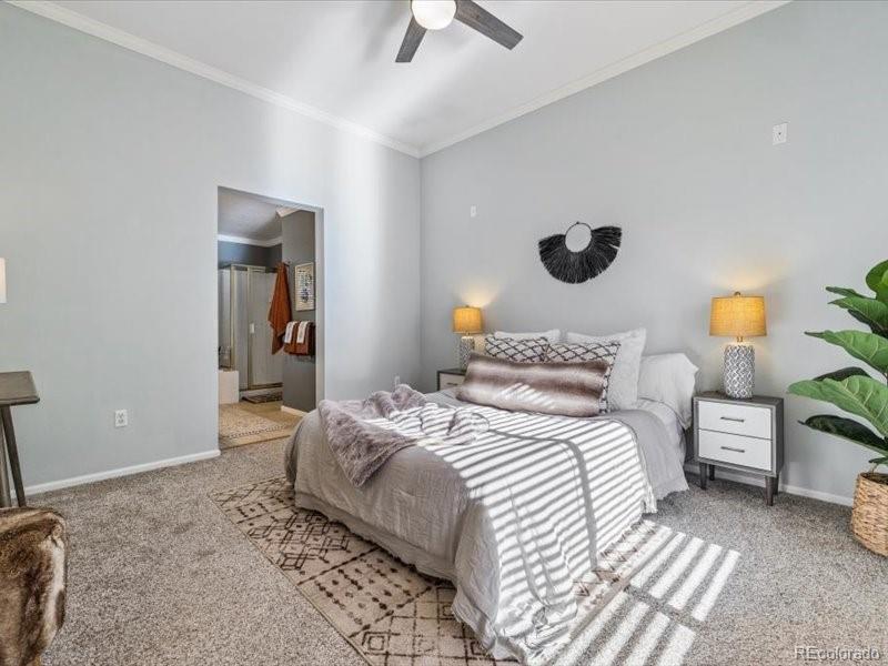 MLS Image #17 for 438  sylvestor trail,highlands ranch, Colorado