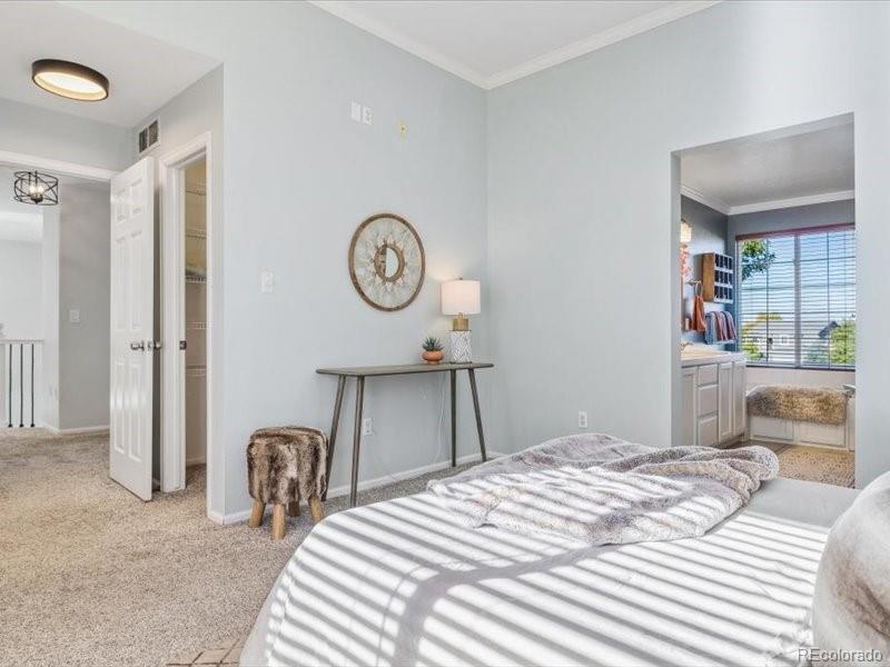 MLS Image #18 for 438  sylvestor trail,highlands ranch, Colorado