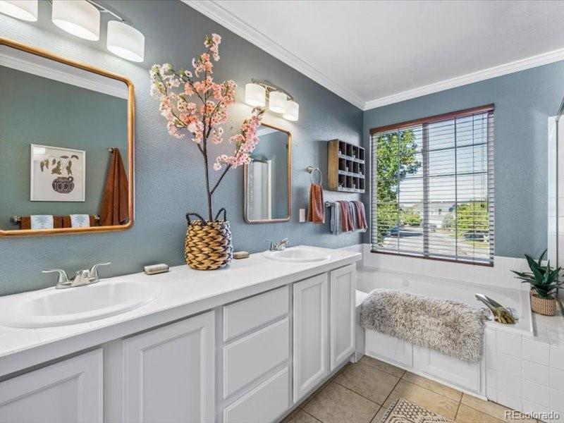 MLS Image #19 for 438  sylvestor trail,highlands ranch, Colorado