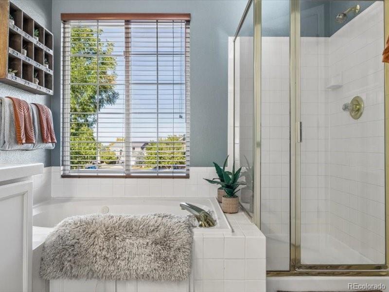 MLS Image #20 for 438  sylvestor trail,highlands ranch, Colorado
