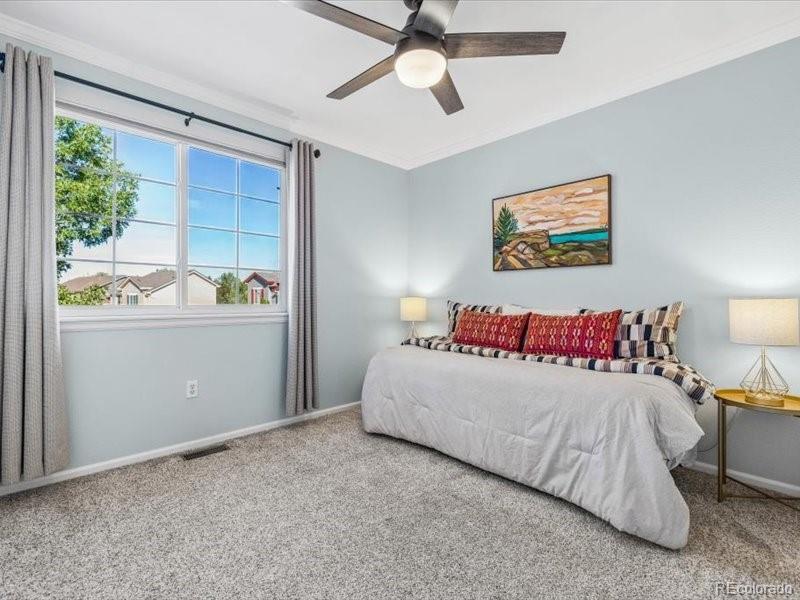 MLS Image #21 for 438  sylvestor trail,highlands ranch, Colorado