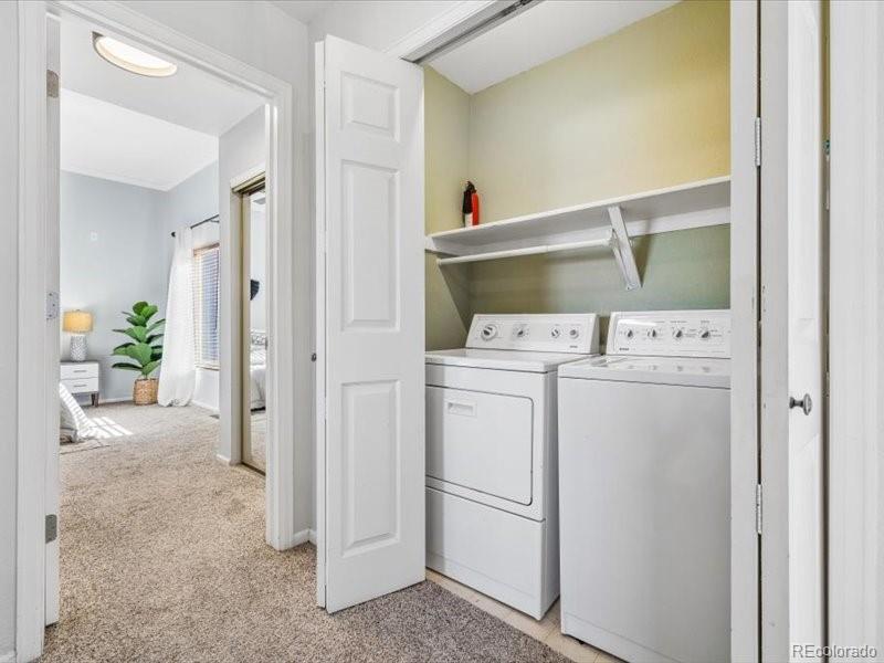 MLS Image #23 for 438  sylvestor trail,highlands ranch, Colorado