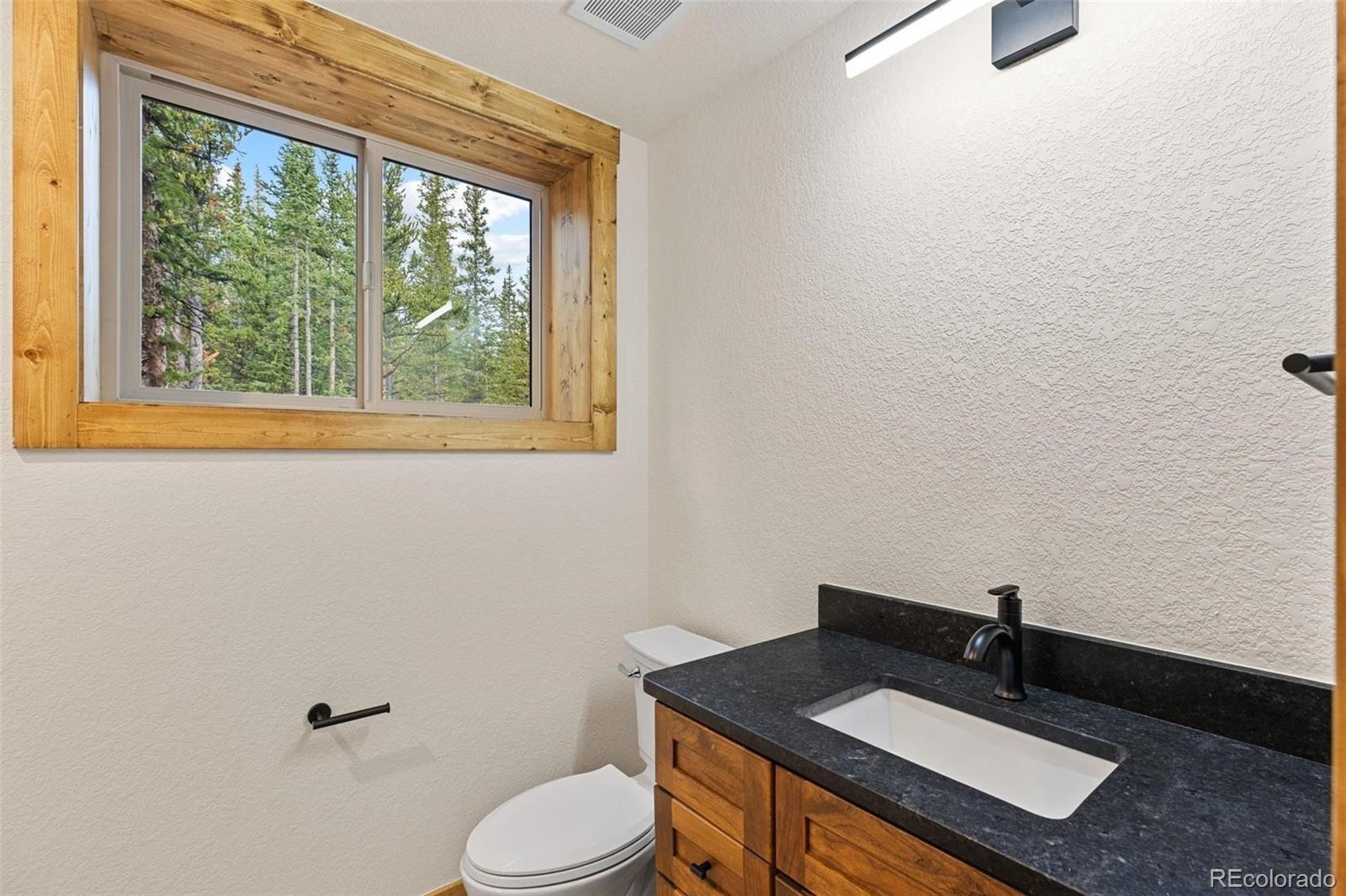 MLS Image #16 for 385  silverheels place,fairplay, Colorado