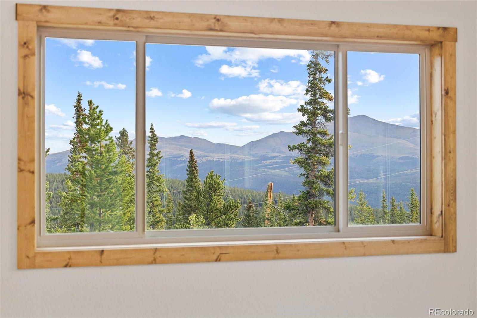 MLS Image #21 for 385  silverheels place,fairplay, Colorado