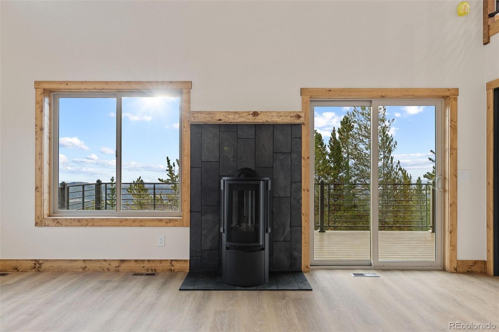 MLS Image #22 for 385  silverheels place,fairplay, Colorado