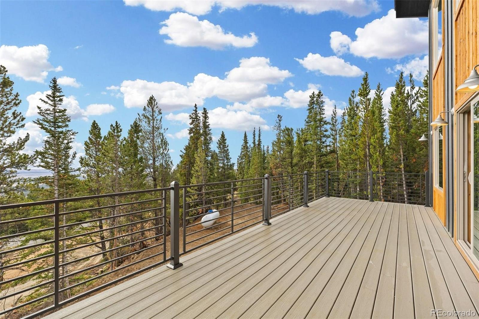 MLS Image #28 for 385  silverheels place,fairplay, Colorado