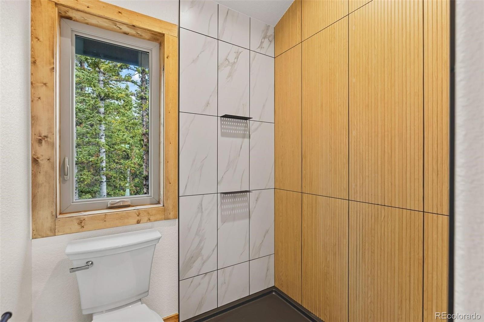 MLS Image #35 for 385  silverheels place,fairplay, Colorado