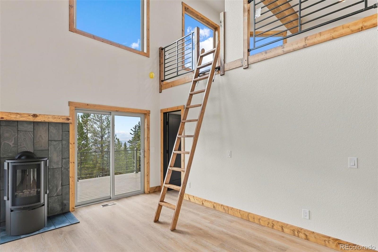 MLS Image #36 for 385  silverheels place,fairplay, Colorado