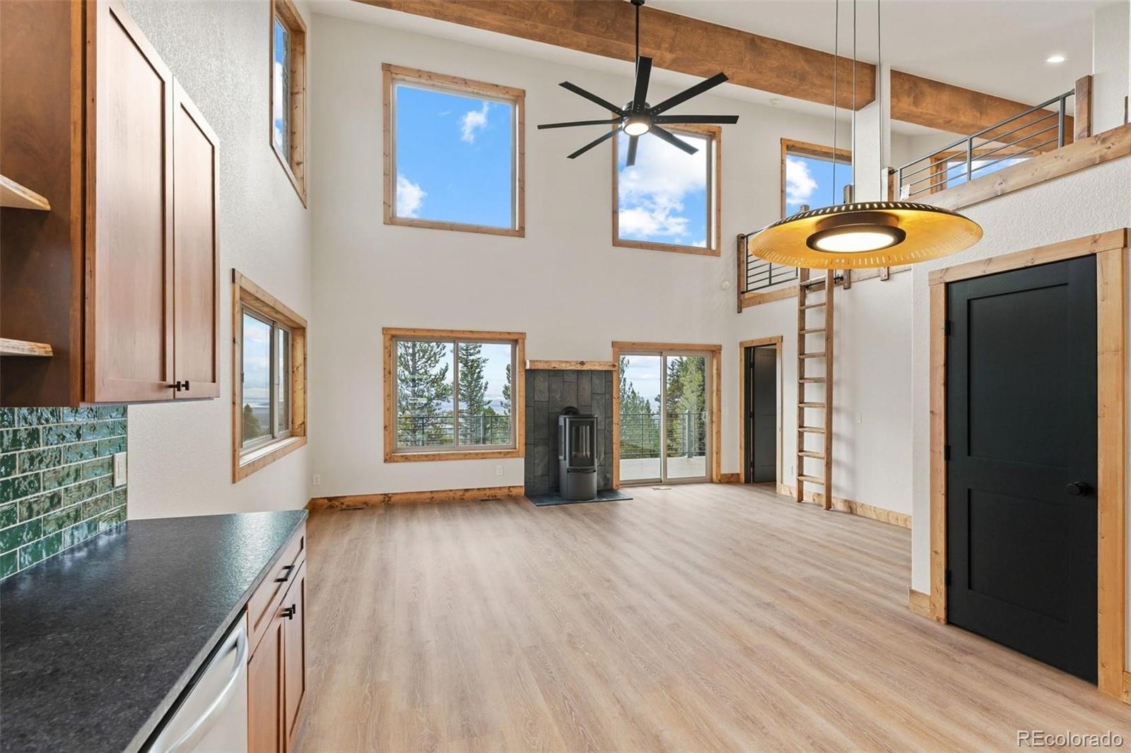 MLS Image #7 for 385  silverheels place,fairplay, Colorado