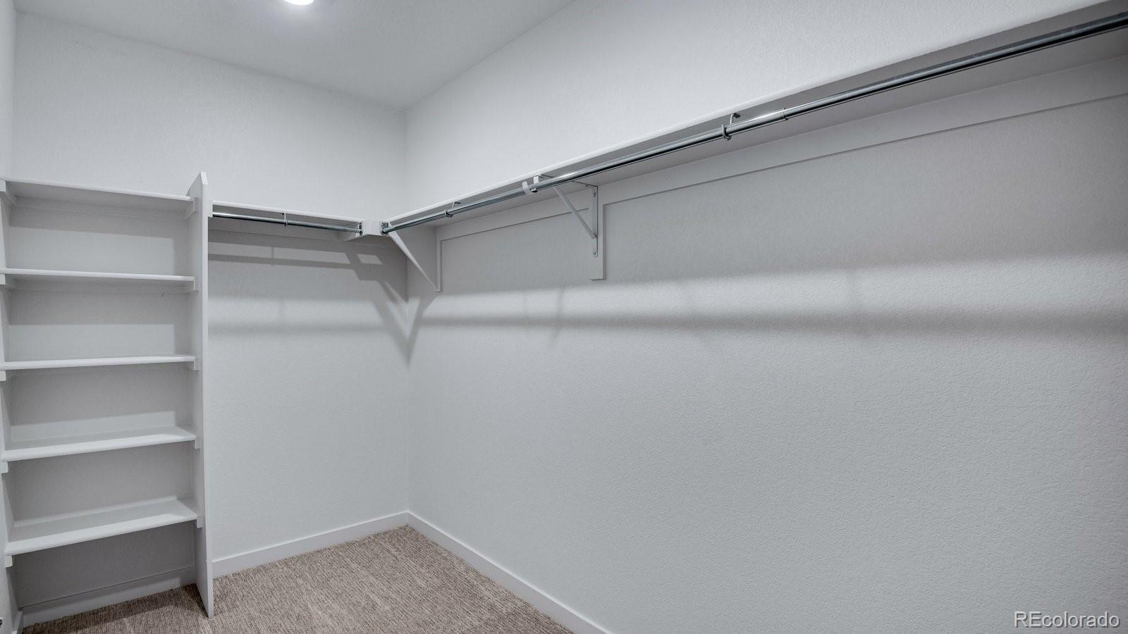 MLS Image #41 for 18125  coppermallow trail,parker, Colorado