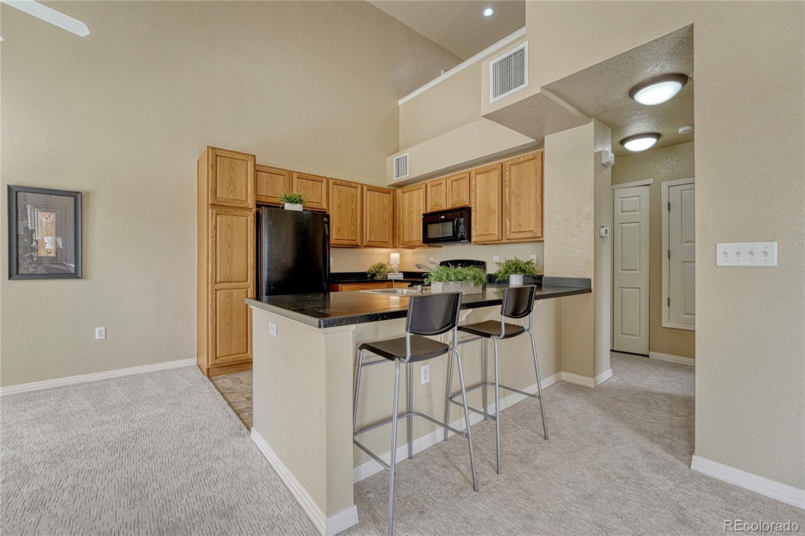 MLS Image #13 for 9585  pearl circle,parker, Colorado