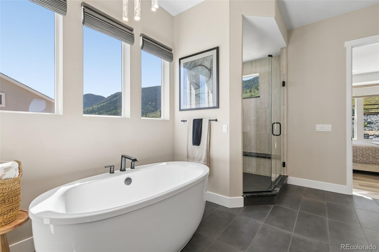 MLS Image #29 for 5005  mesa top drive,monument, Colorado