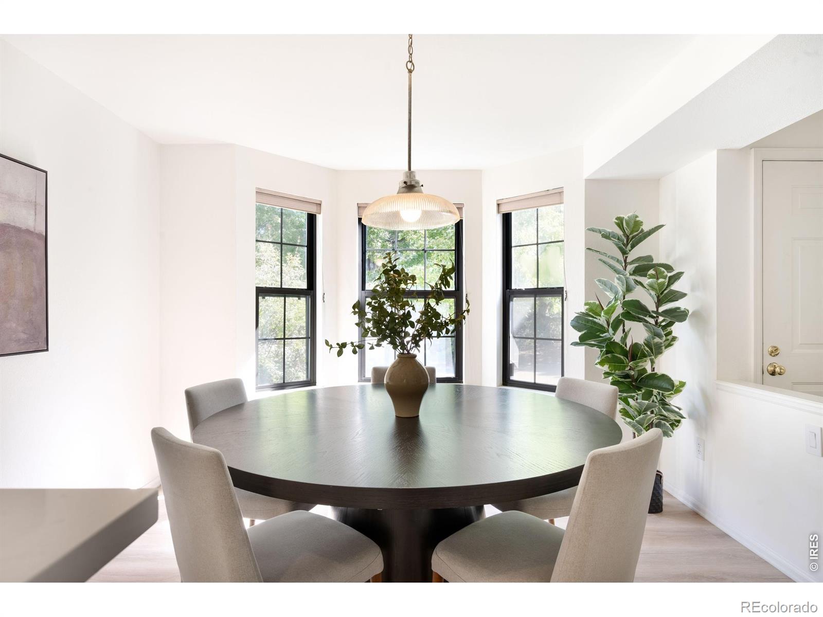 MLS Image #10 for 521 w sycamore circle,louisville, Colorado
