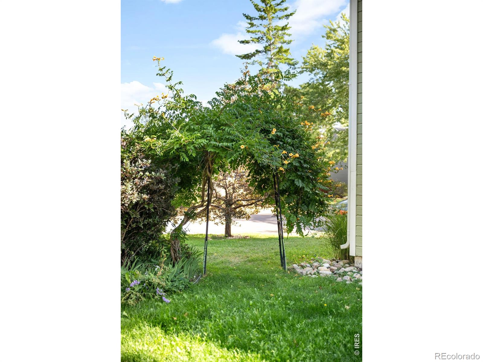 MLS Image #33 for 521 w sycamore circle,louisville, Colorado