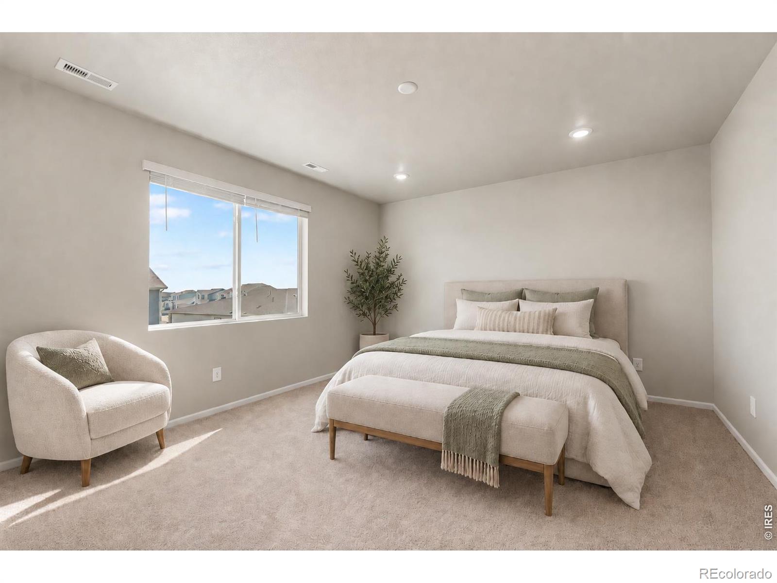 MLS Image #6 for 1629  yampa river drive,windsor, Colorado