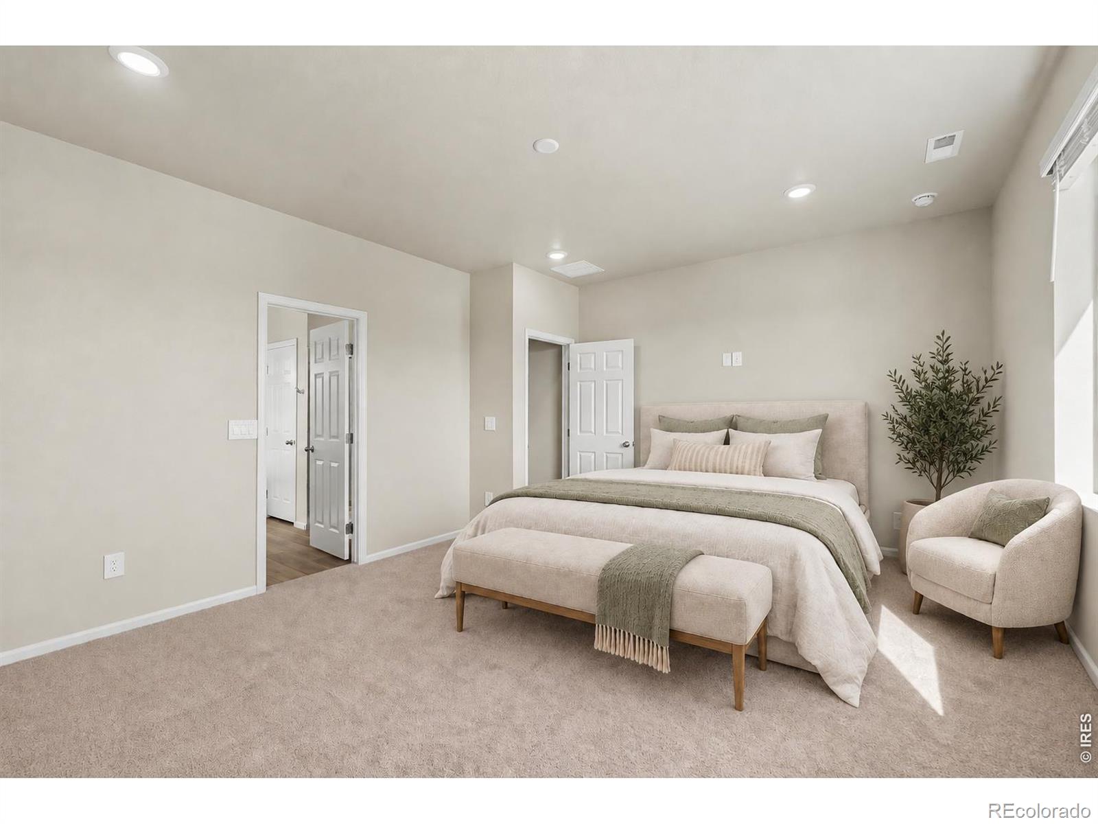MLS Image #7 for 1629  yampa river drive,windsor, Colorado