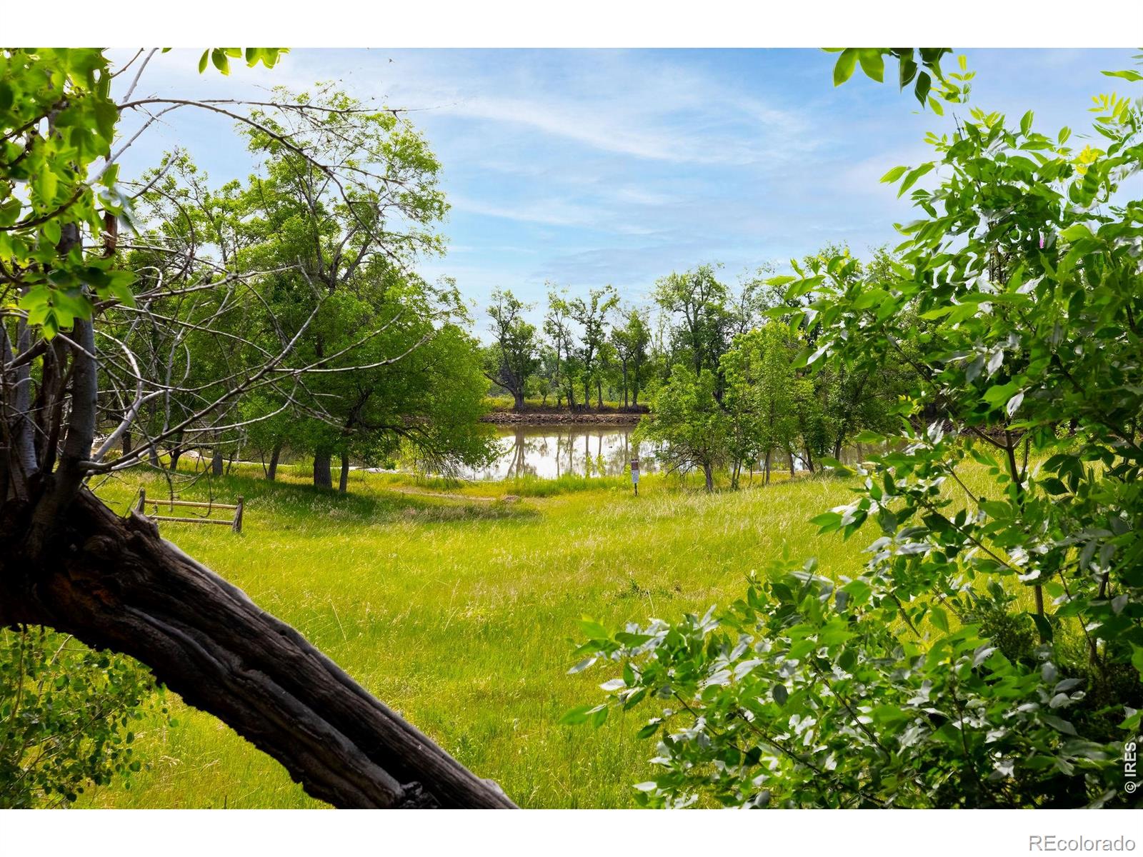 MLS Image #6 for 543  linden park drive,boulder, Colorado