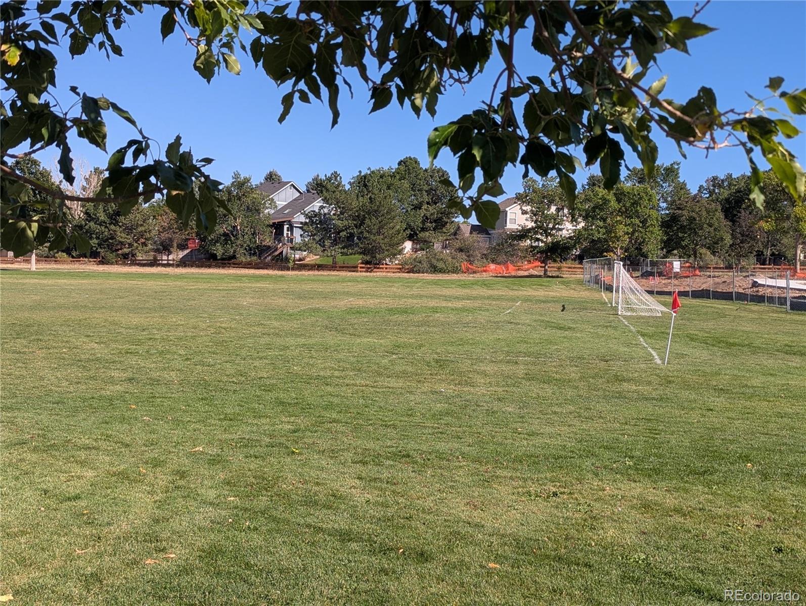 MLS Image #4 for 8834  pochard street,littleton, Colorado