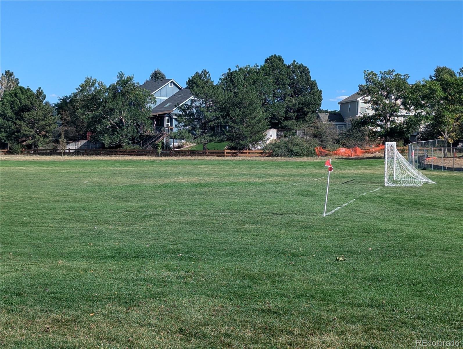 MLS Image #5 for 8834  pochard street,littleton, Colorado