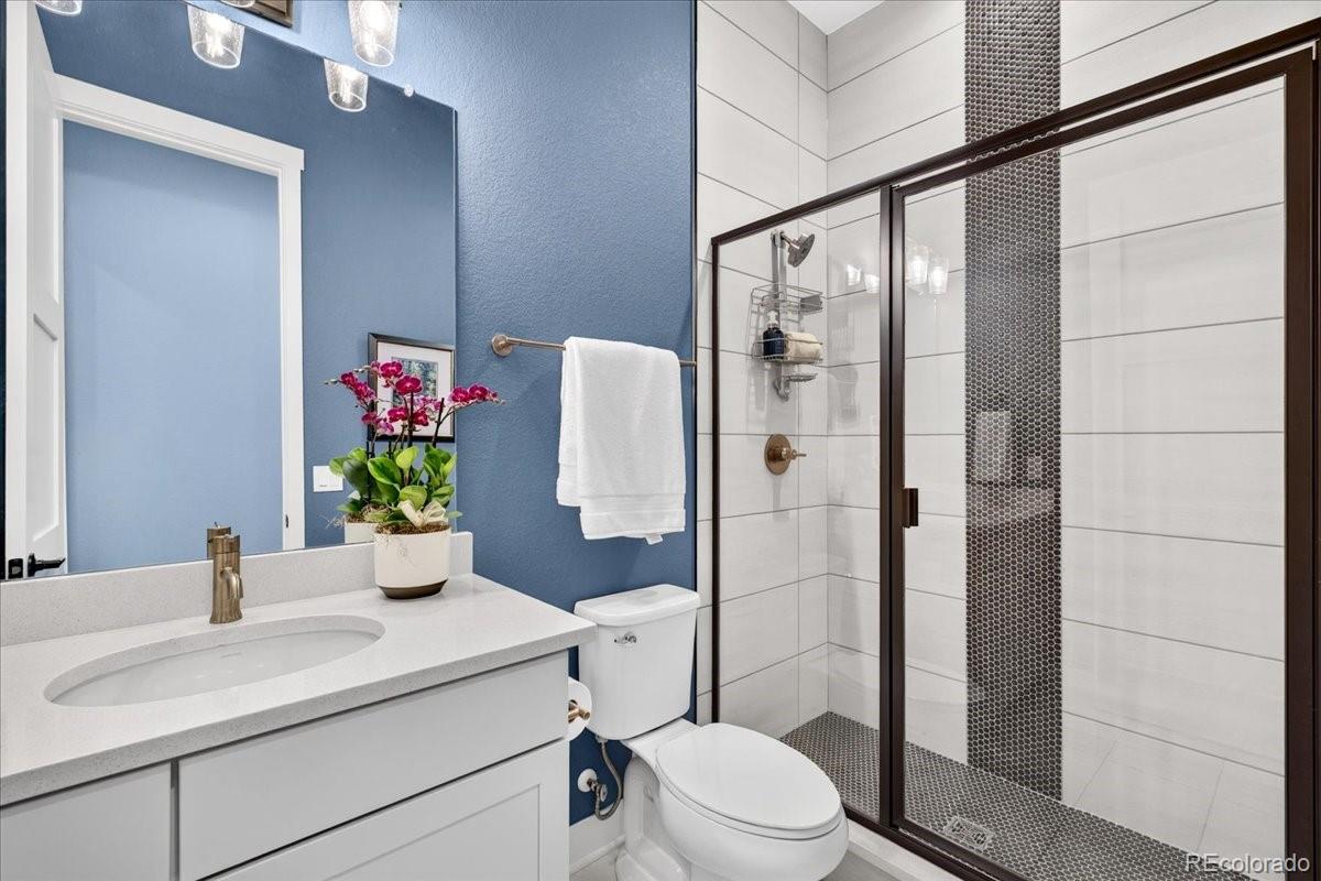 MLS Image #10 for 18361 w 95th place,arvada, Colorado