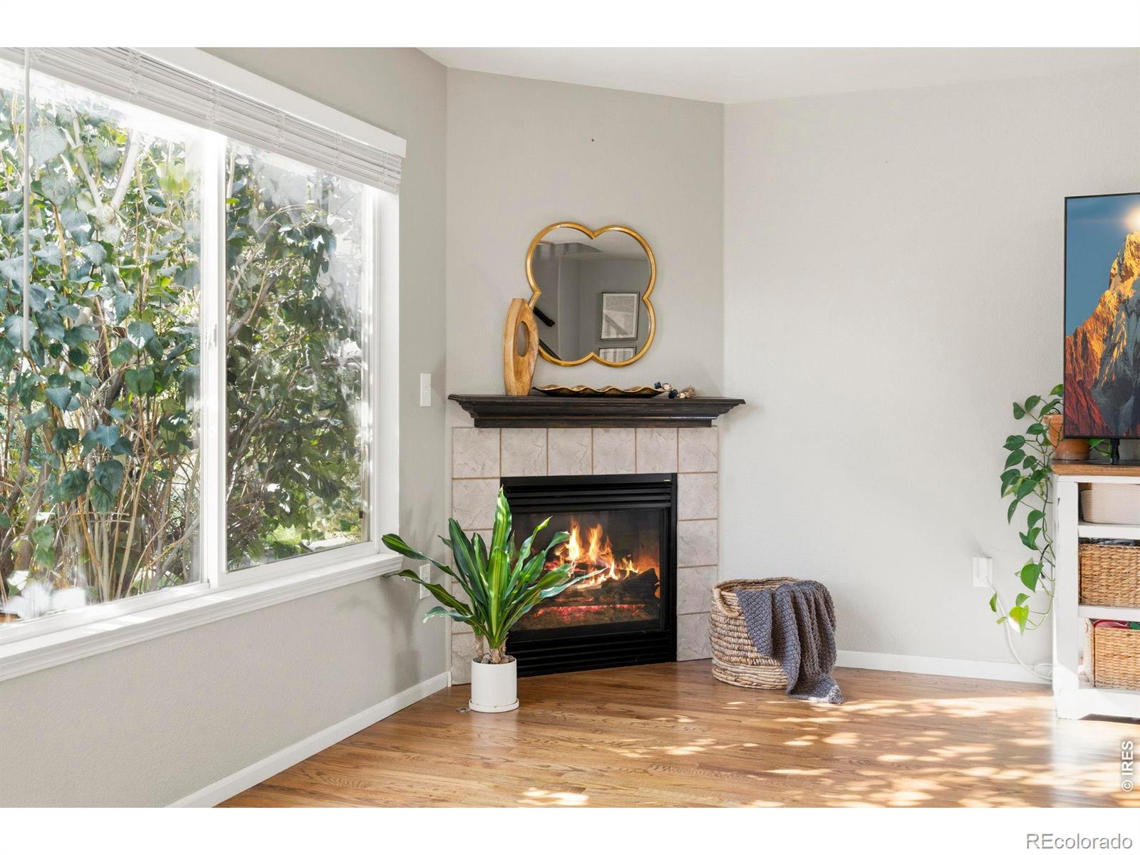 MLS Image #12 for 850 s overland trail,fort collins, Colorado