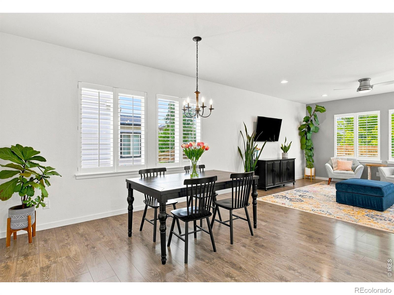 MLS Image #10 for 78  starlight circle,erie, Colorado