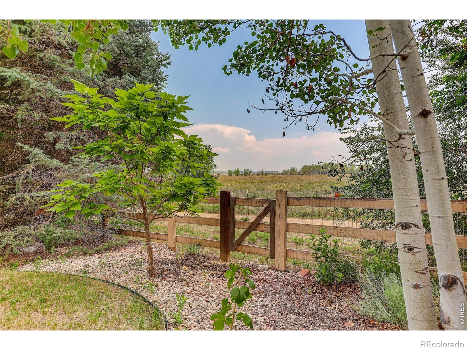MLS Image #1 for 1664  westin drive,erie, Colorado