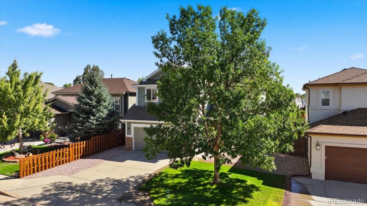 MLS Image #4 for 5385  ferrari drive,colorado springs, Colorado