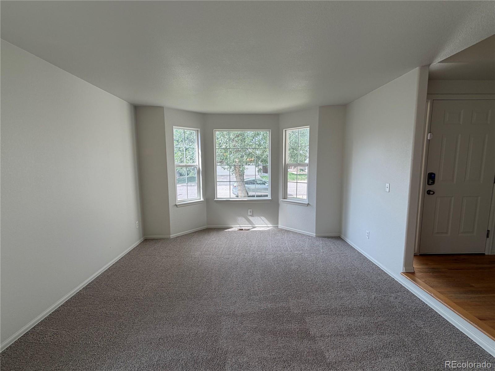 MLS Image #7 for 821  sage sparrow circle,highlands ranch, Colorado