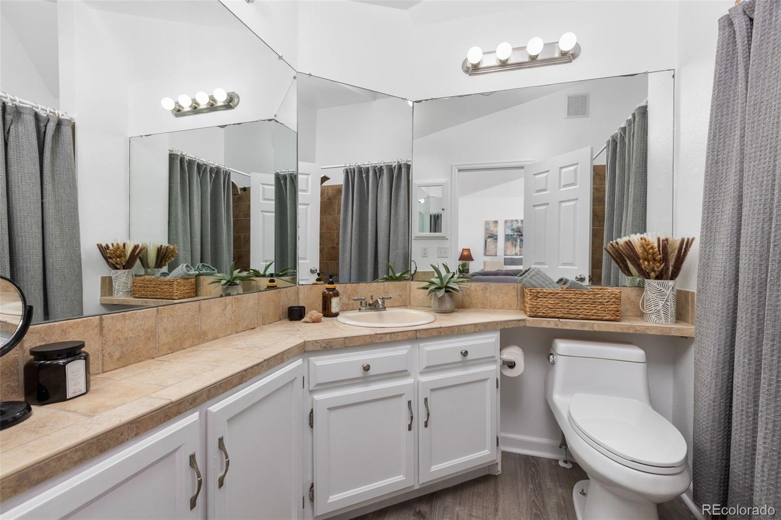MLS Image #16 for 8518  wheatgrass ,parker, Colorado