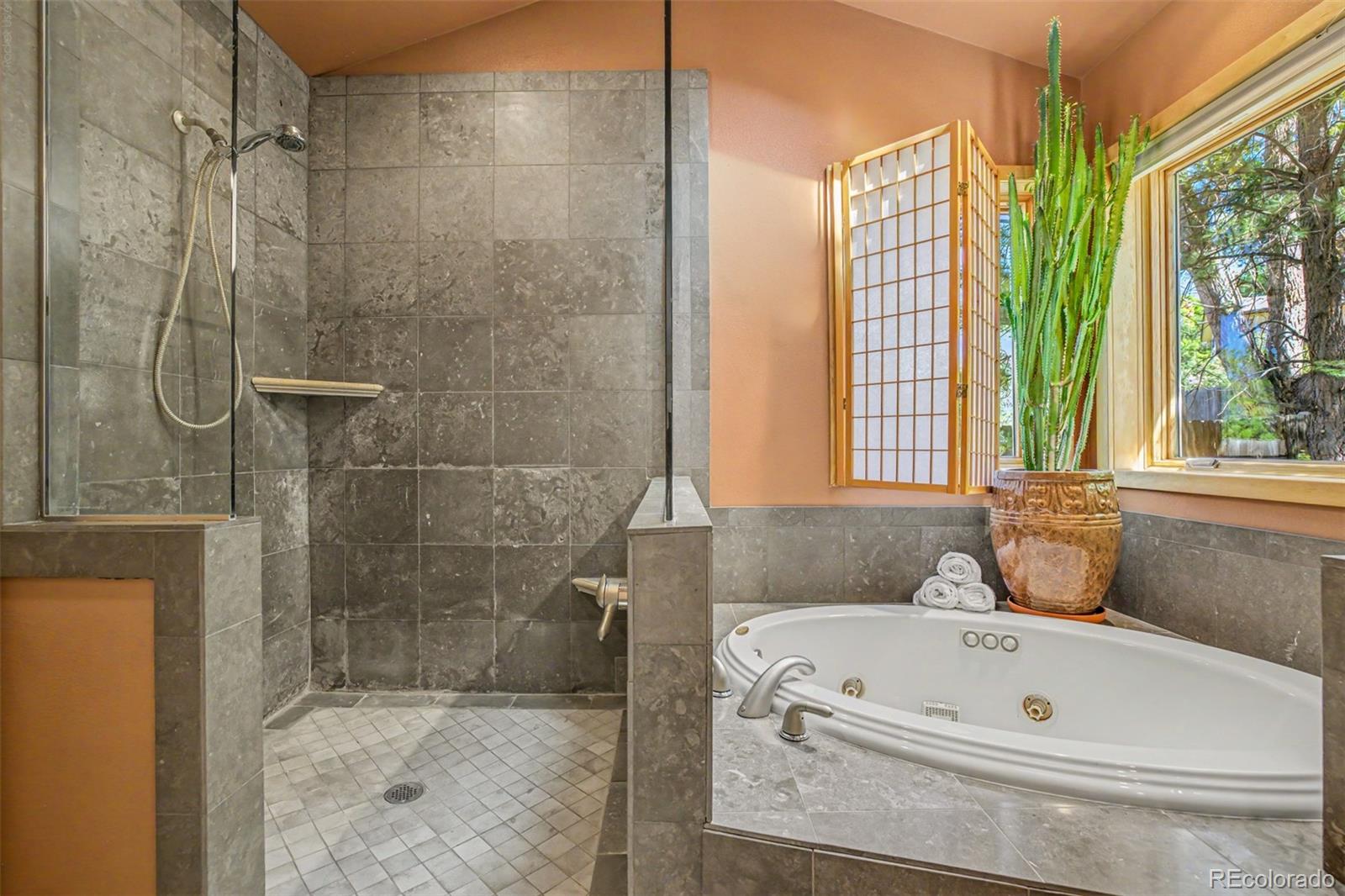MLS Image #25 for 12936 w chenango avenue,morrison, Colorado