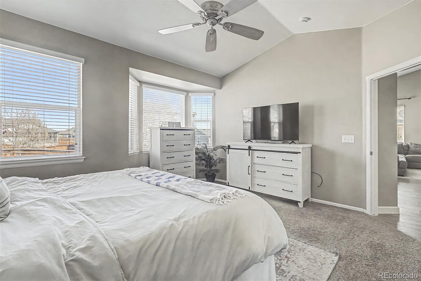 MLS Image #13 for 13680  spruce street,thornton, Colorado
