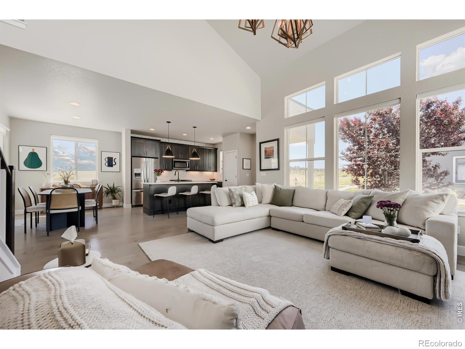 MLS Image #8 for 1747  stable view drive,castle pines, Colorado