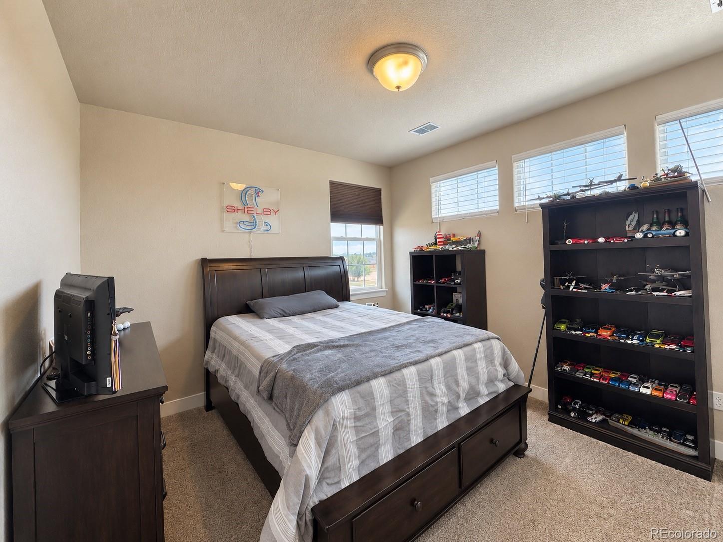 MLS Image #14 for 991  mt andrew drive,severance, Colorado