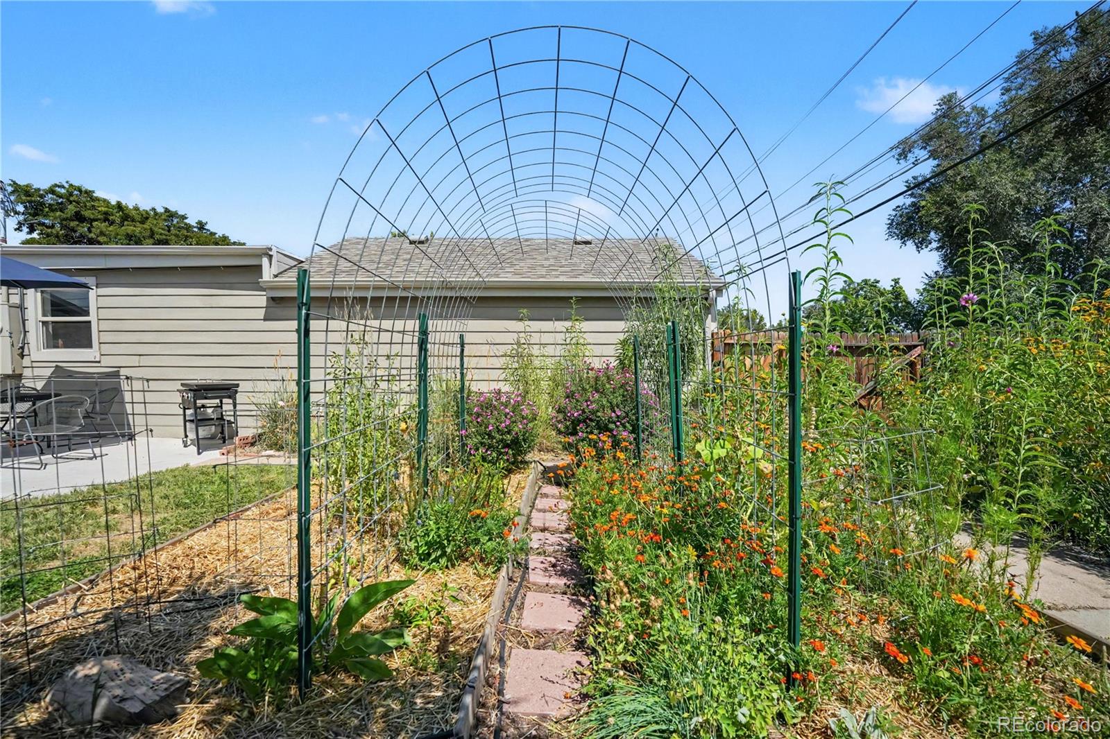 MLS Image #15 for 6400 w 45th place,wheat ridge, Colorado