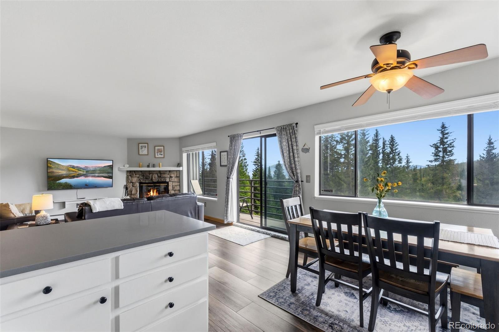 MLS Image #11 for 9849  ryan gulch road,silverthorne, Colorado