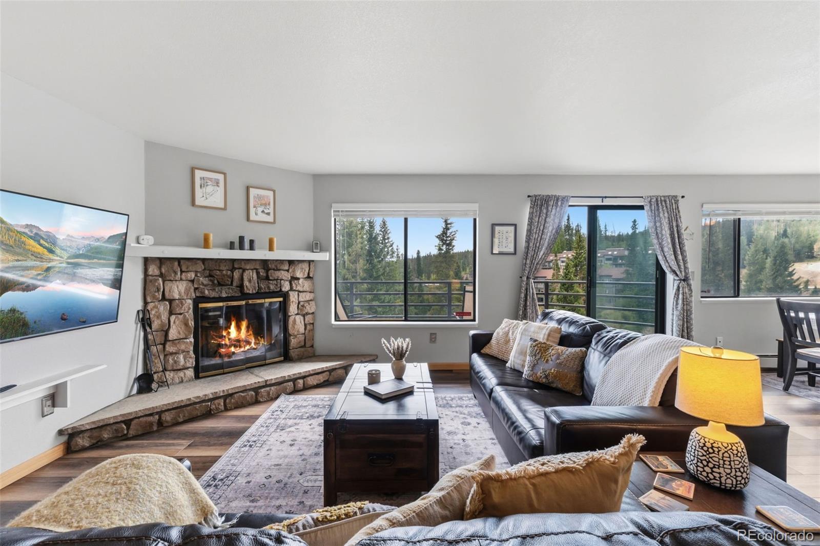 MLS Image #9 for 9849  ryan gulch road,silverthorne, Colorado