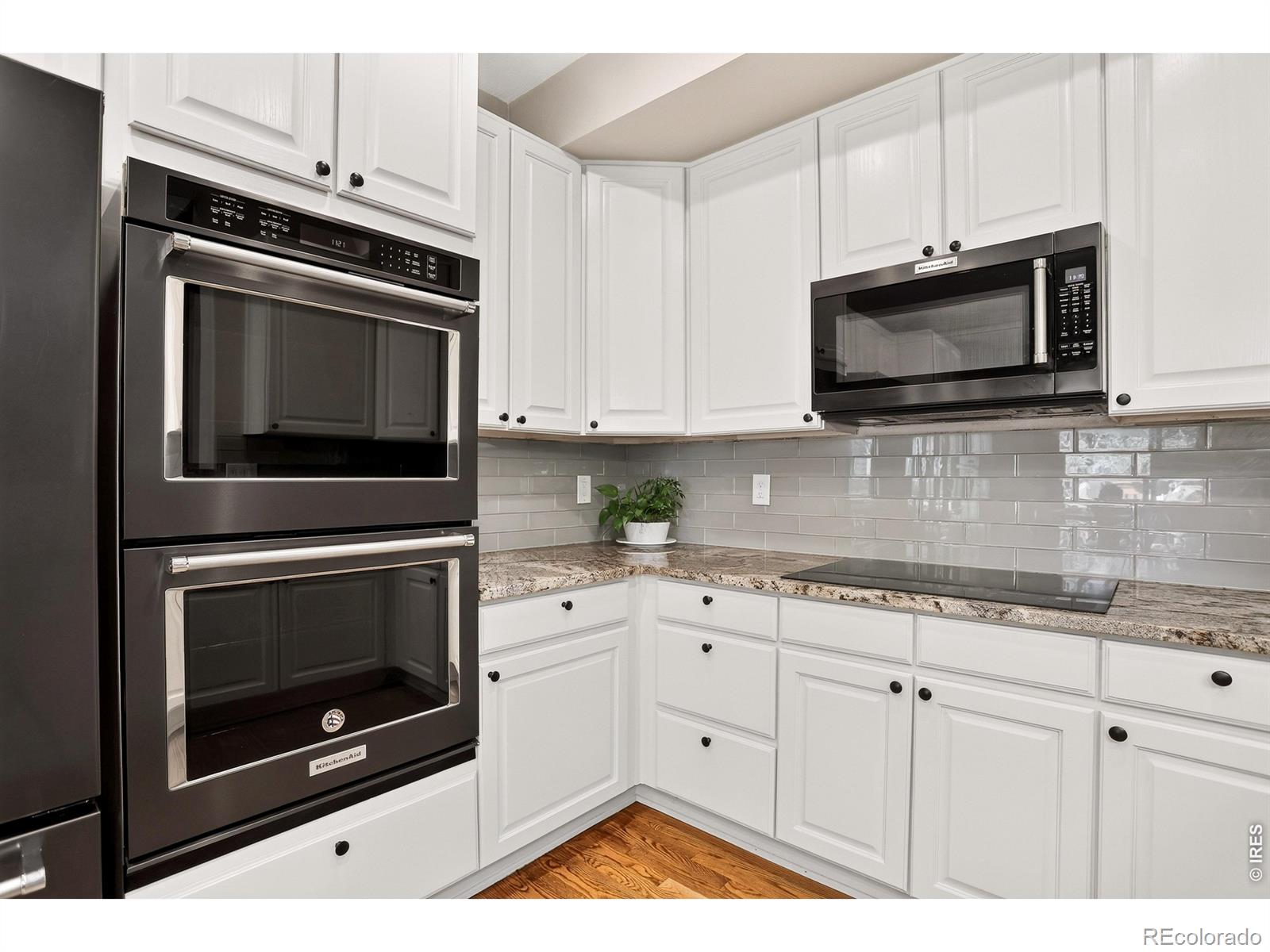 MLS Image #11 for 1516  red mountain drive,longmont, Colorado