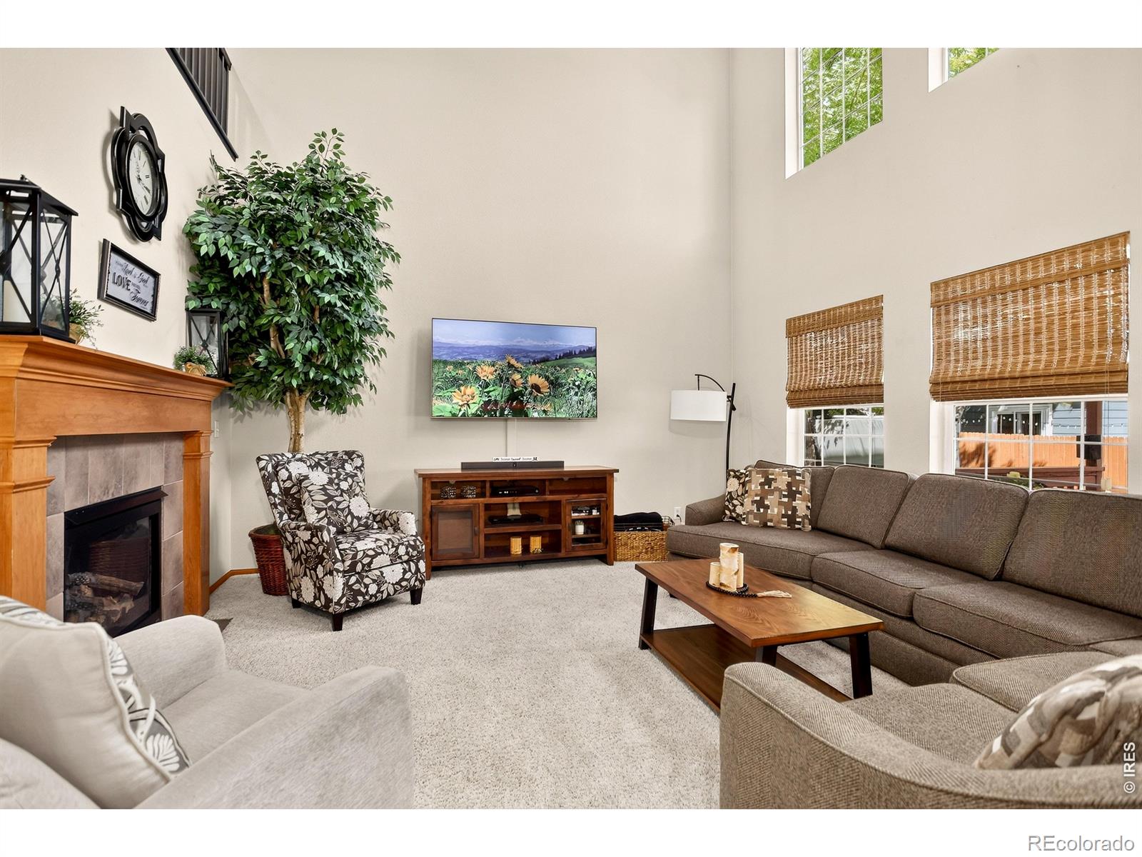 MLS Image #15 for 1516  red mountain drive,longmont, Colorado