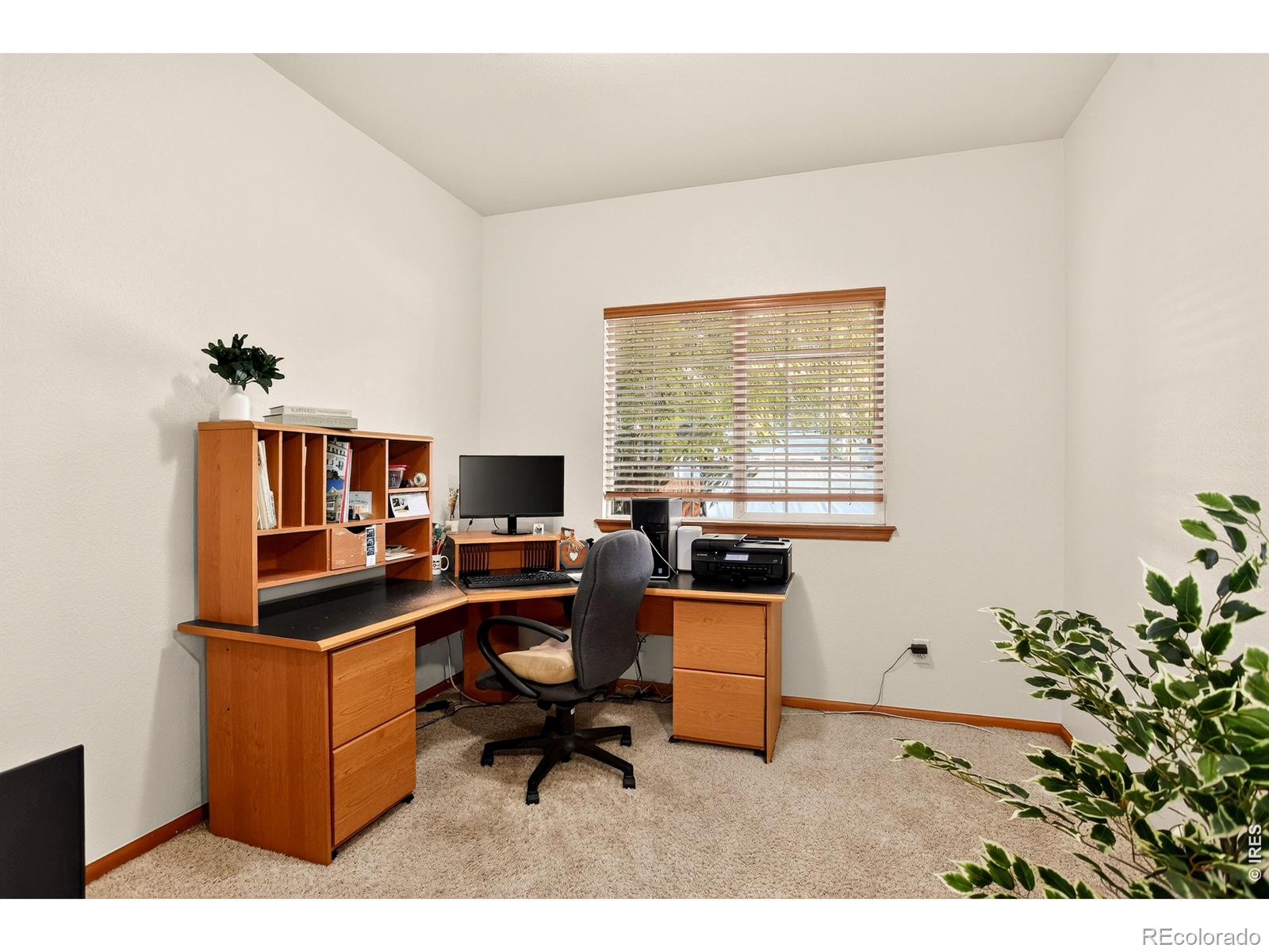 MLS Image #23 for 1516  red mountain drive,longmont, Colorado