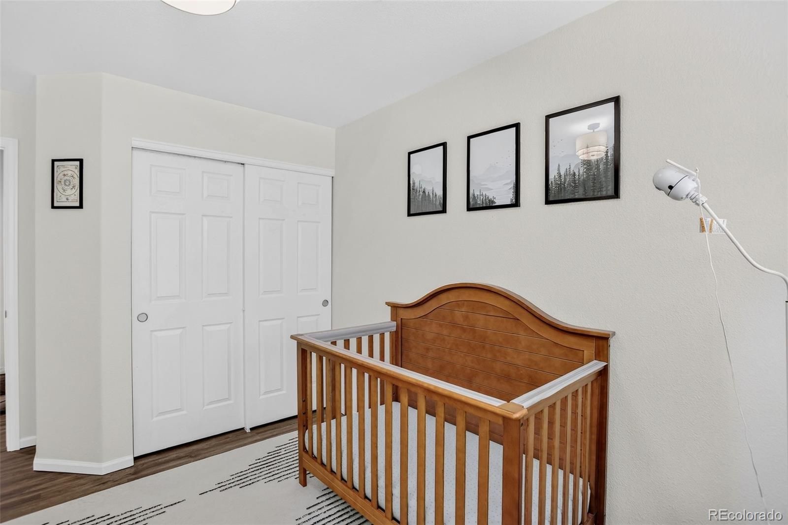MLS Image #28 for 453  bonanza drive,erie, Colorado