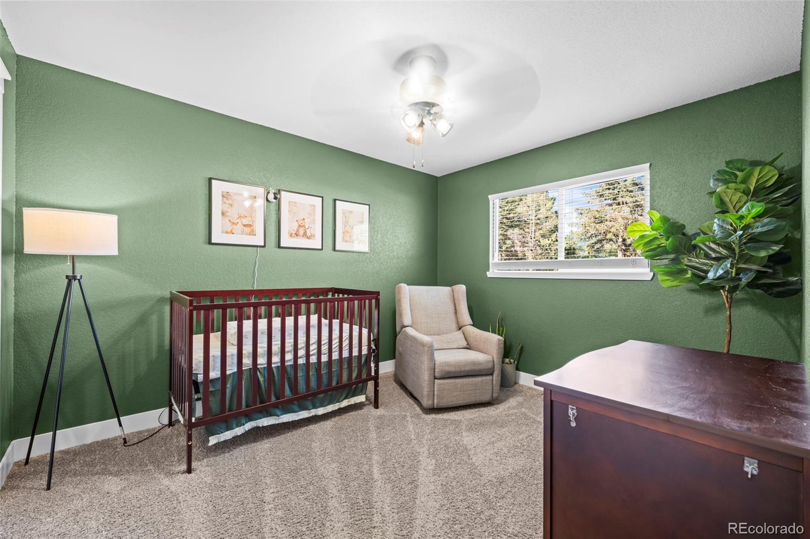 MLS Image #7 for 1915  wynkoop drive,colorado springs, Colorado